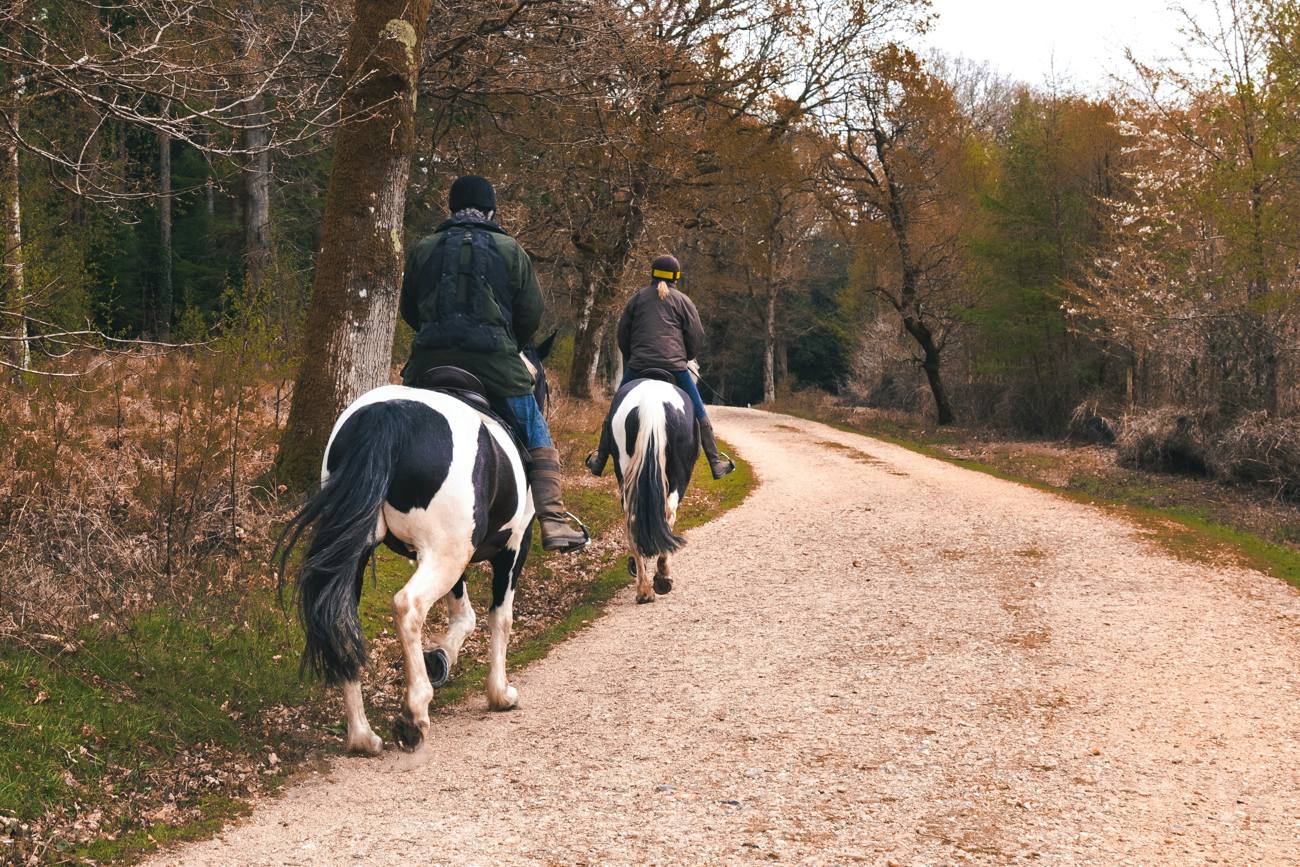 Deux cavaliers sur un chemin en forêt